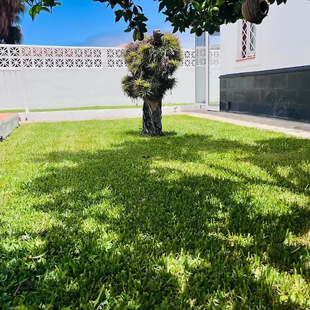 Casa Mesa Del Mar Tenerife